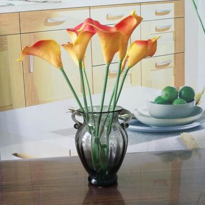 جودة Solid Color Two Ears Glass Bottle Vase , Flower Vase Glass For Home Decor مصنع