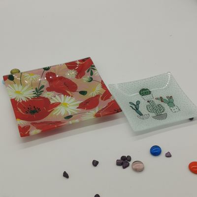 جودة Customize Color Ins Cactus Square Glass Dinner Plates مصنع