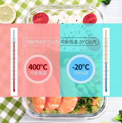 جودة Borosilicate Pressed Glass Lunch Boxes With Locking Lids مصنع