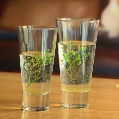 جودة Thick Bottom Heavy Duty Crystal Highball Tumblers مصنع