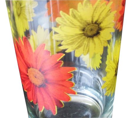 جودة Silk Printed Blooming Daisy 16 Oz Highball Glasses مصنع